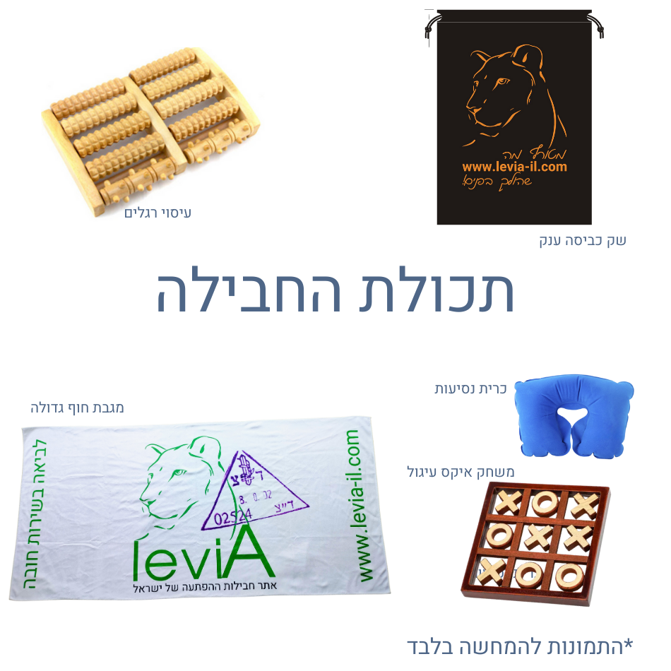 חיילים - לביאה בשירות חובה