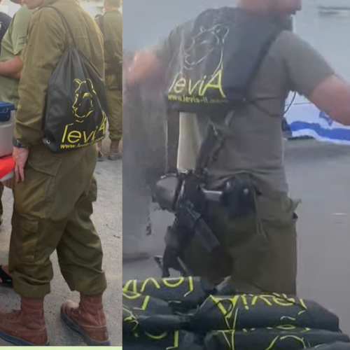 תיק שרוכים לביאה